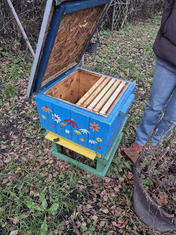 Syndyk sprzeda dwie pasieki - ule (35 szt. i 17 szt.)