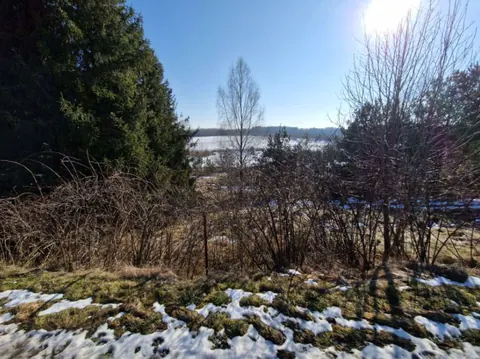 Syndyk sprzeda nieruchomość niezabudowaną - Sikorzyno