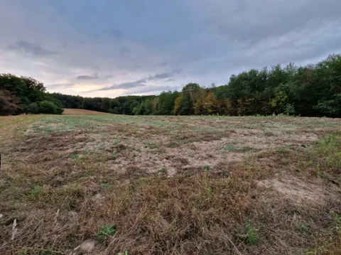 Syndyk sprzeda nieruchomość niezabudowaną - Nawodzice